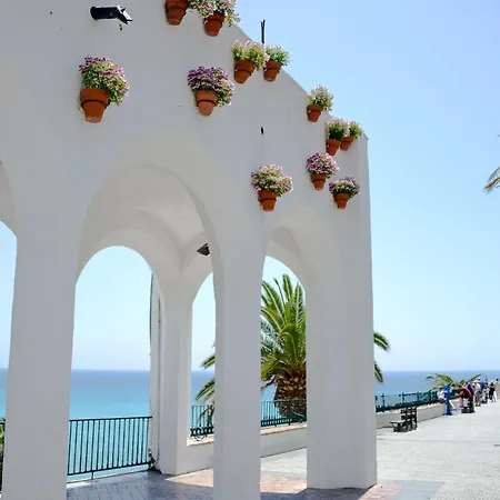 Estheries * Torrox